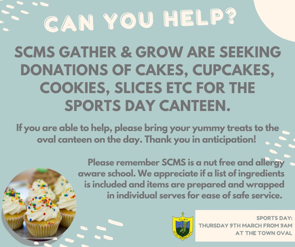 can you help canteen cakes (002).jpg