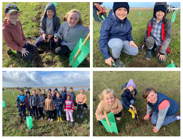 Middle Primary Tree Planting.PNG