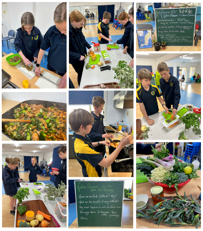 Senior Primary Cooking with Local Produce.PNG