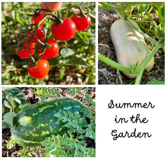 Garden News Summer.PNG