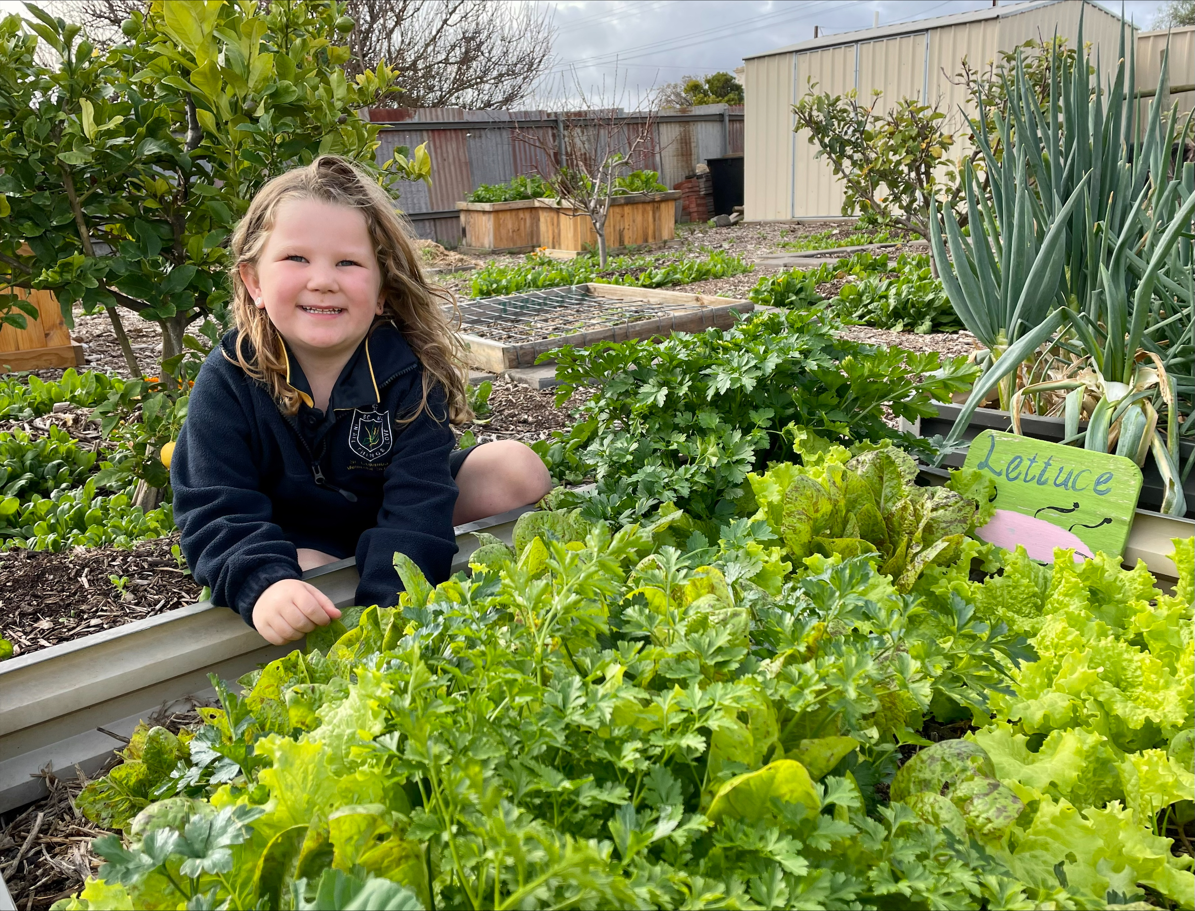 Garden News Winter Veg.jpeg